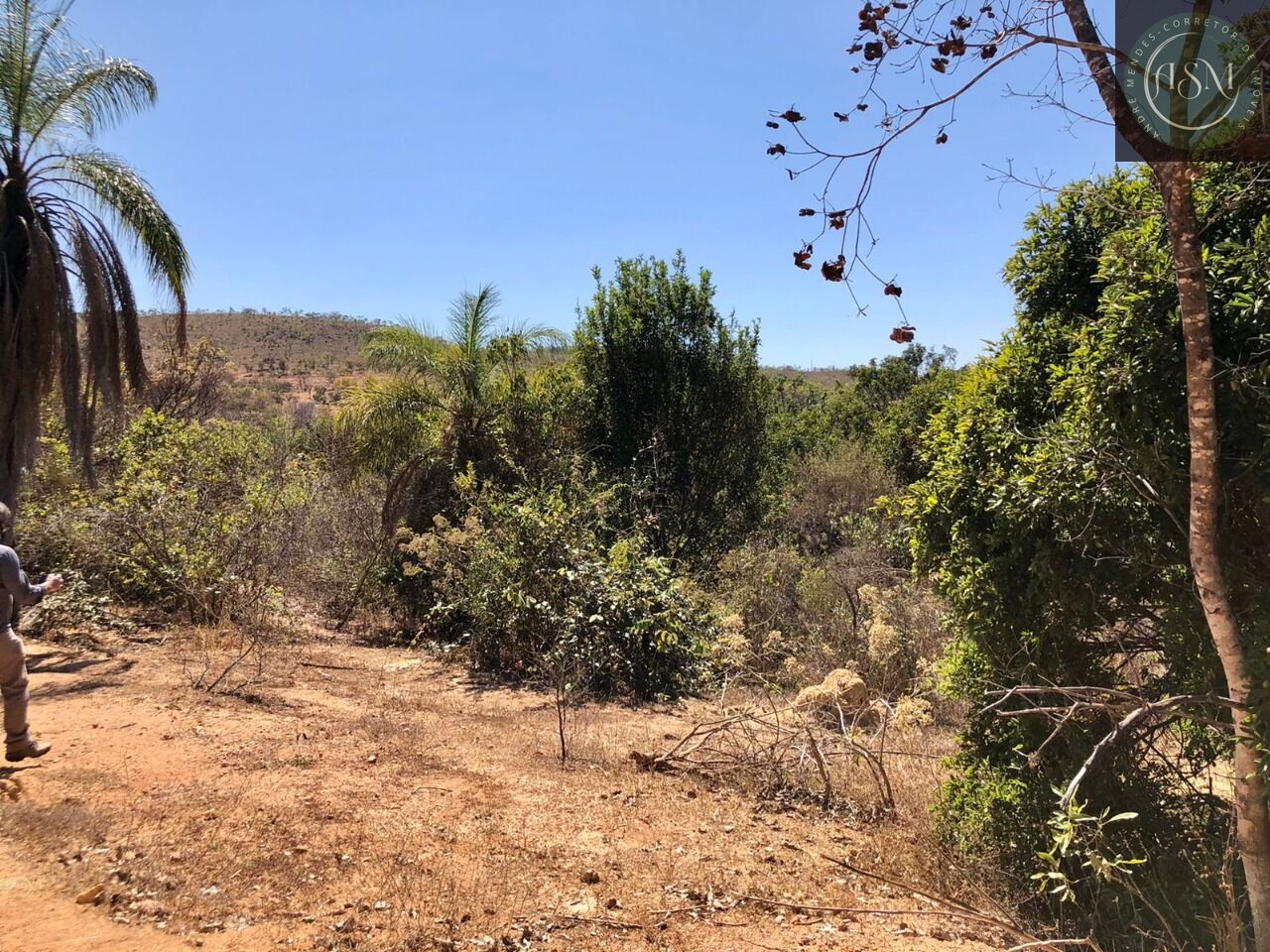 Terreno, 2 hectares - Foto 10