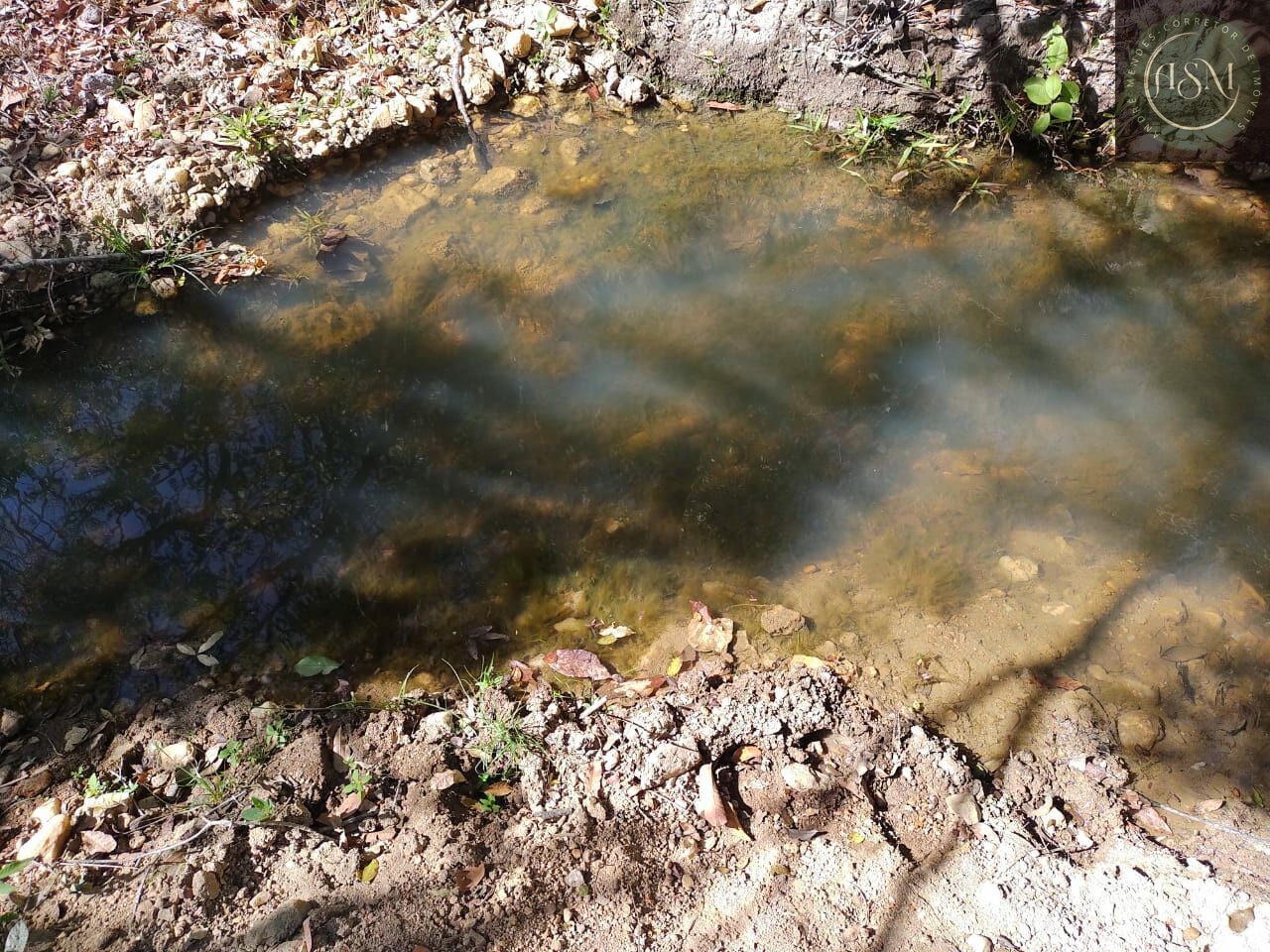 Terreno, 2 hectares - Foto 17