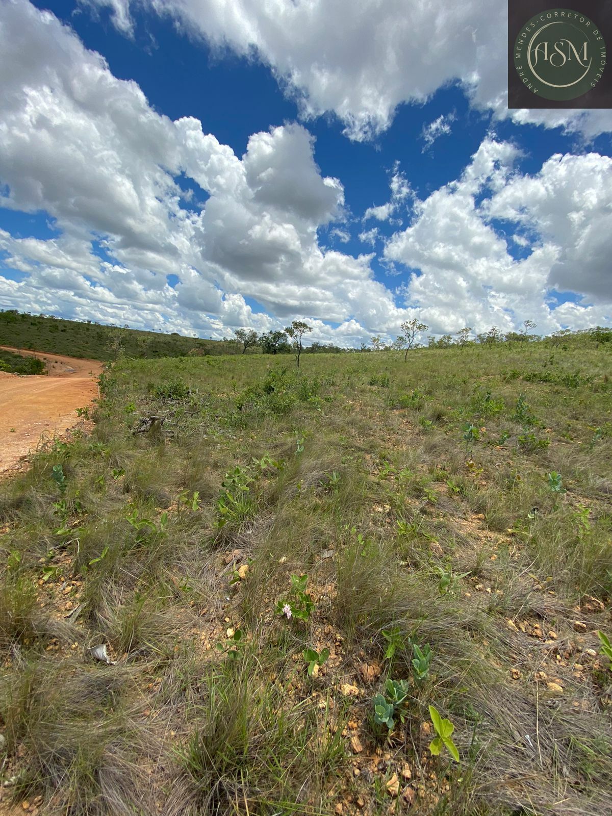 Terreno, 2 hectares - Foto 7