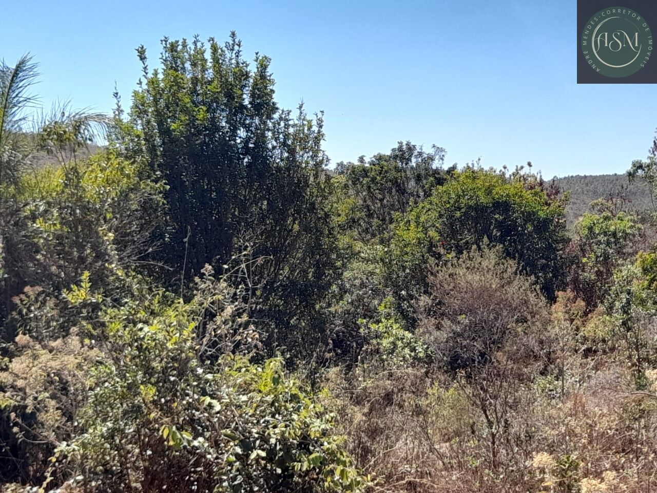 Terreno, 2 hectares - Foto 24