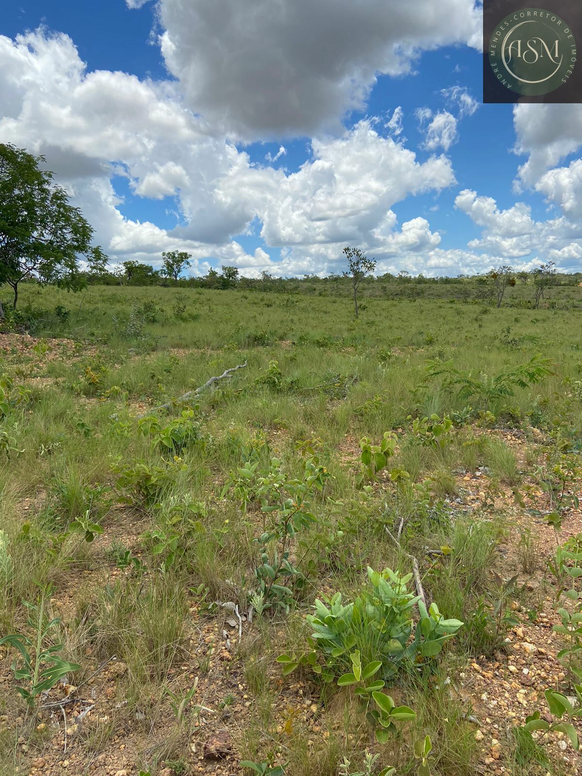 Terreno, 2 hectares - Foto 21