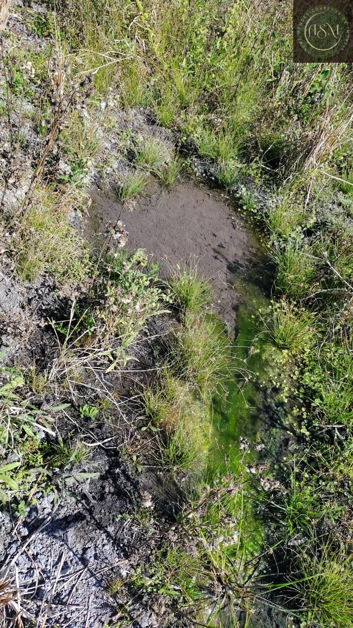 Terreno, 2 hectares - Foto 13