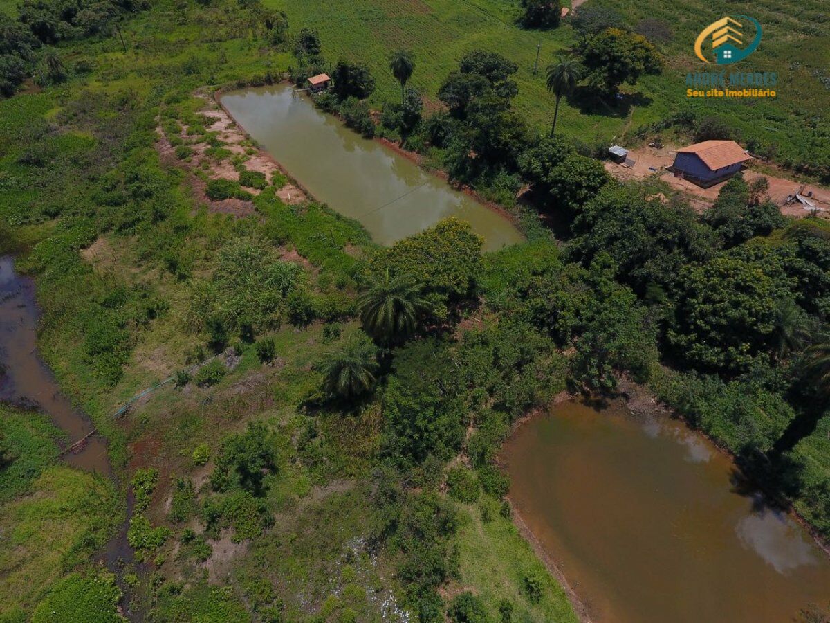 Terreno, 2 hectares - Foto 7