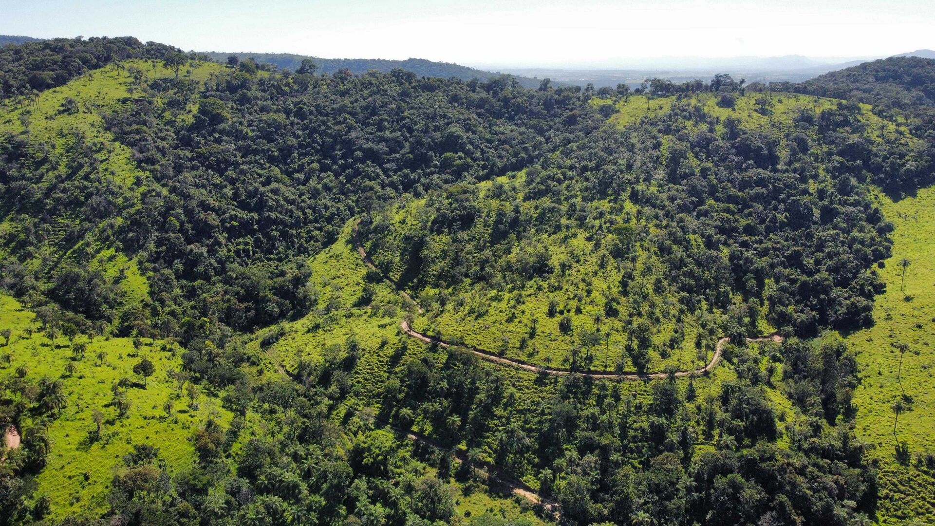 Terreno, 2 hectares - Foto 4
