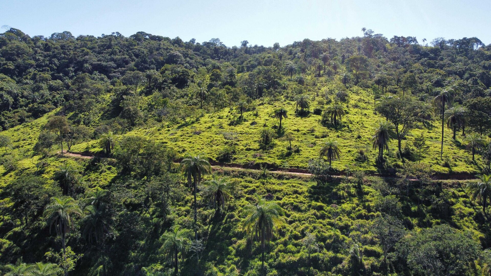 Terreno, 2 hectares - Foto 13