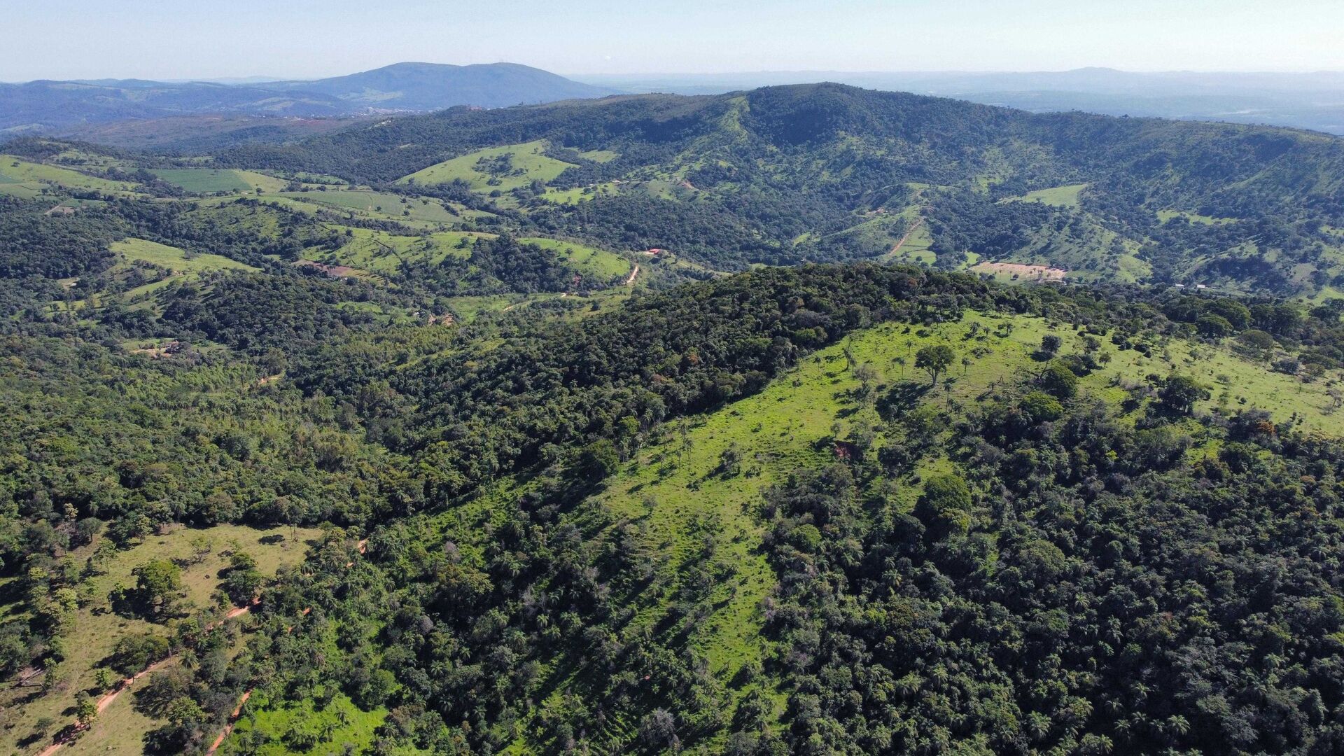 Terreno, 2 hectares - Foto 8