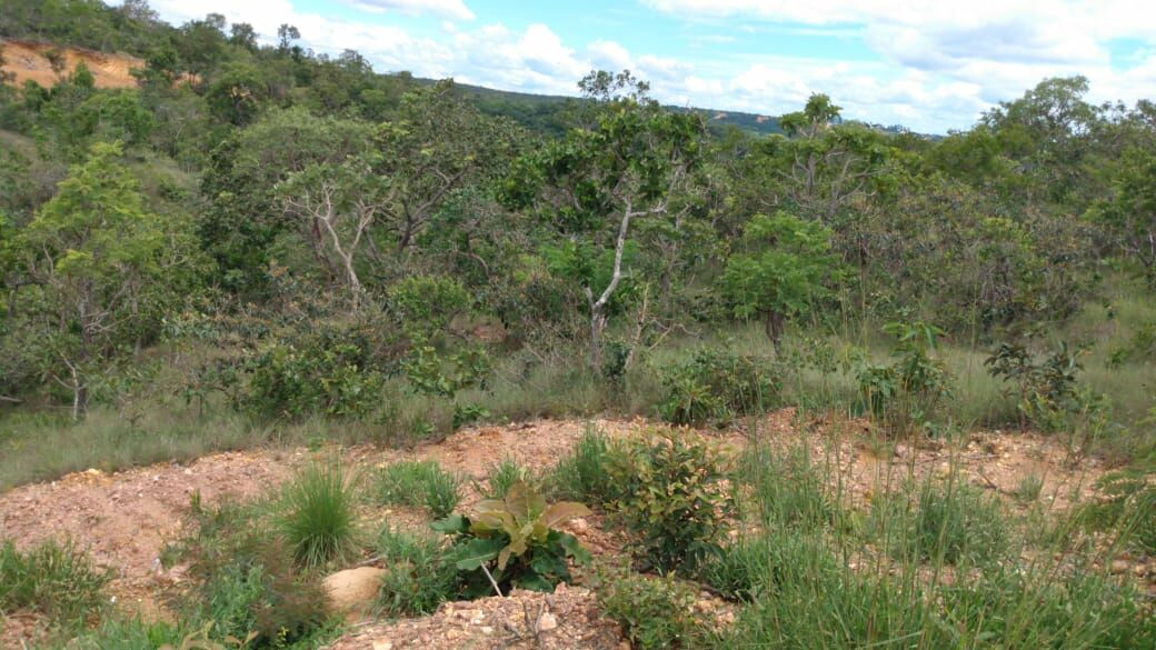 Terreno, 500 m² - Foto 11