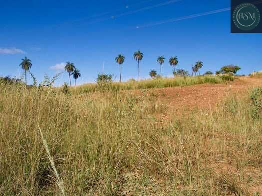 Sítio, 2 hectares - Foto 15