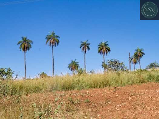 Sítio, 2 hectares - Foto 10