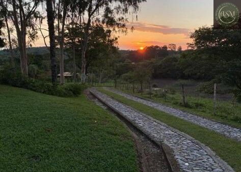 Sítio, 4 quartos, 17 hectares - Foto 9