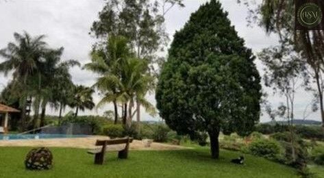 Sítio, 4 quartos, 17 hectares - Foto 8