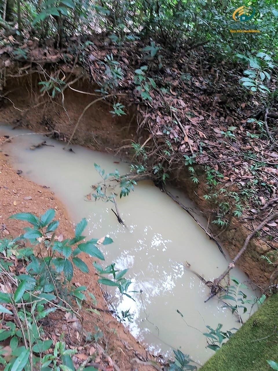 Terreno, 2 hectares - Foto 3
