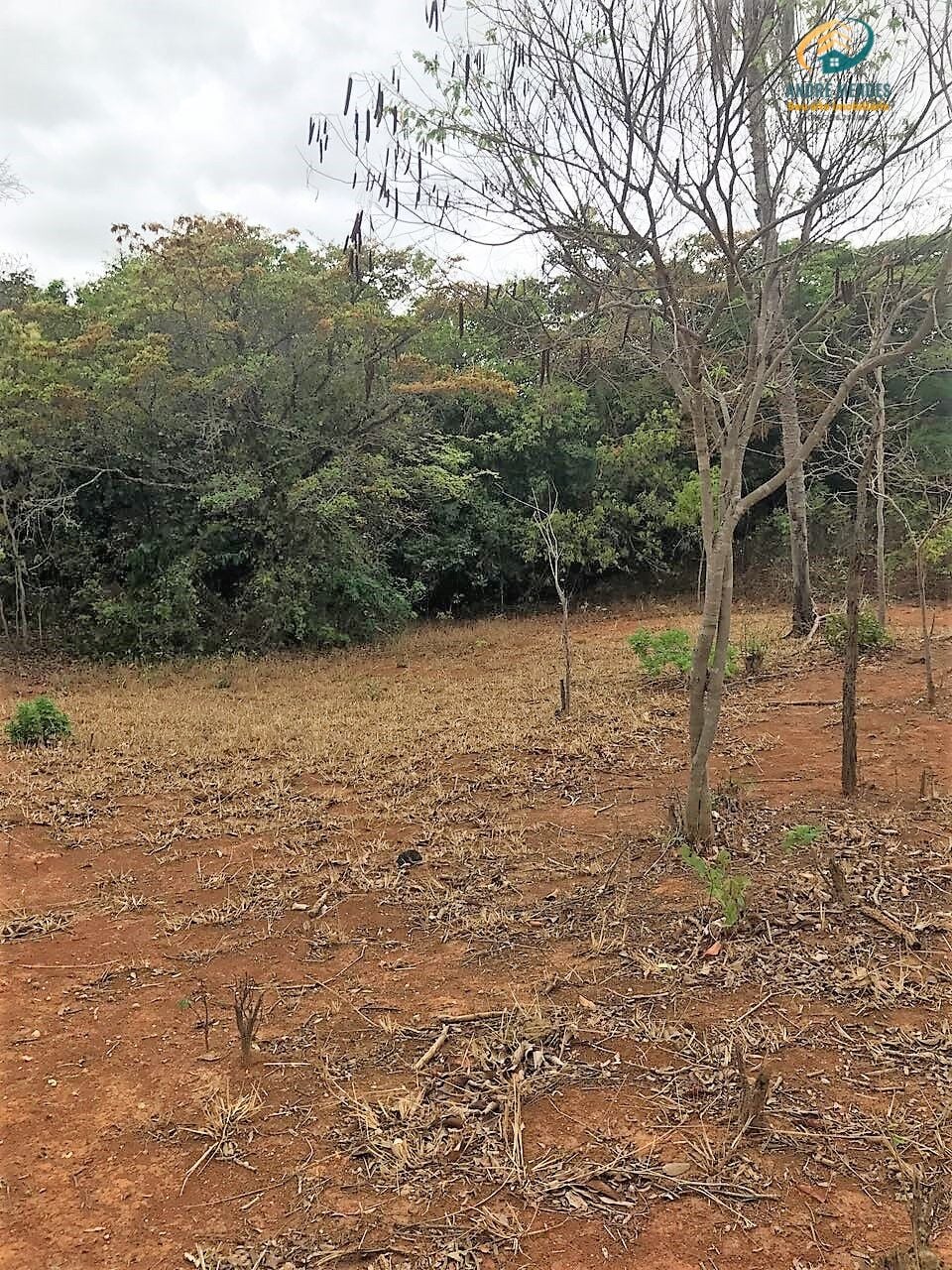 Terreno, 2 hectares - Foto 14