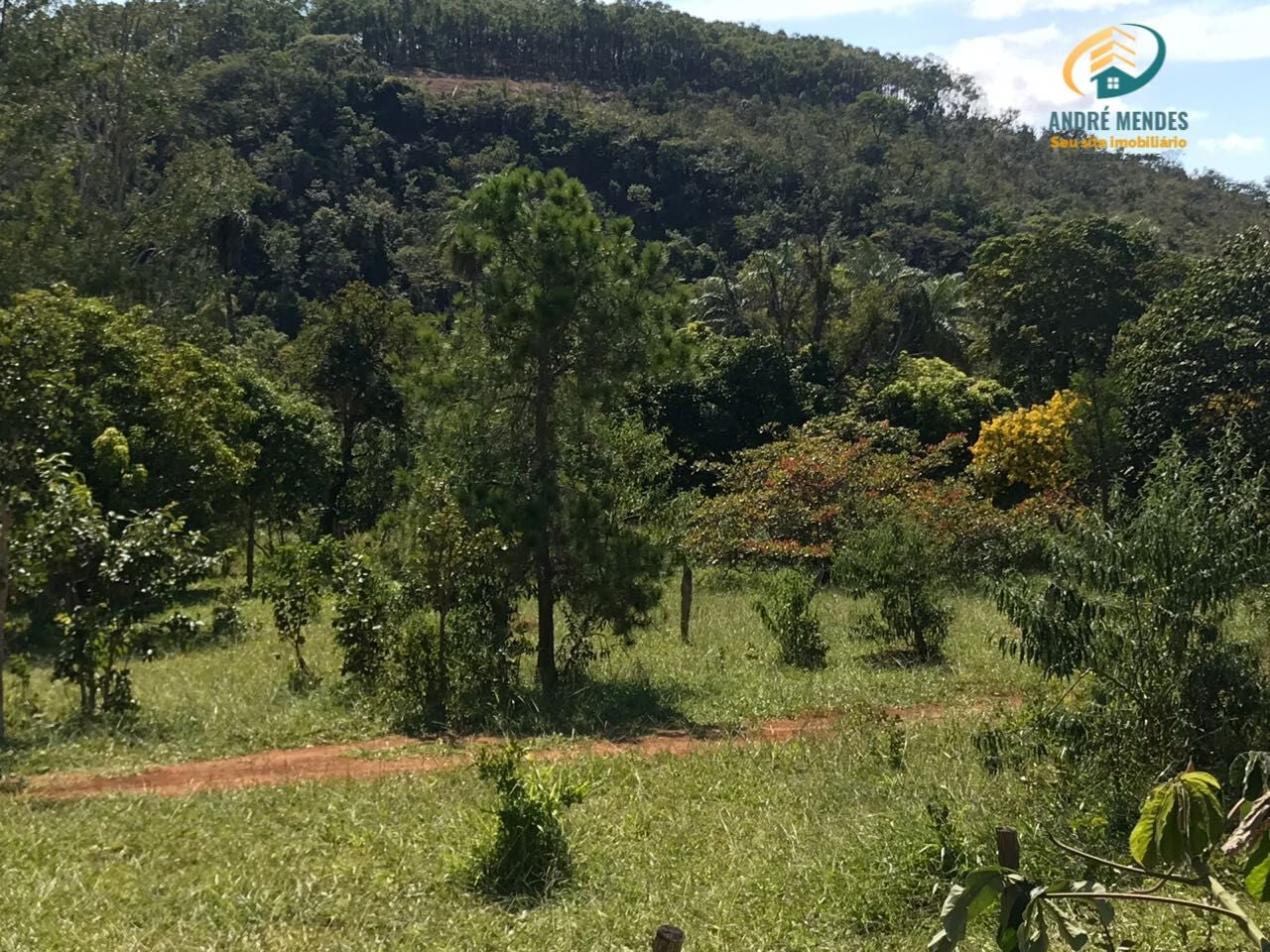 Terreno, 2 hectares - Foto 16