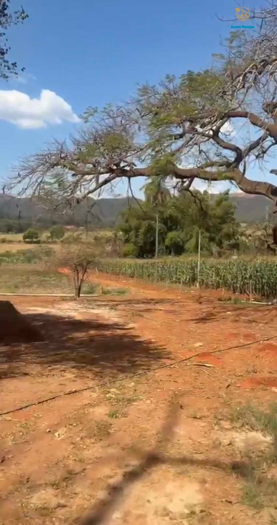 Chácara, 2 quartos, 900 m² - Foto 8