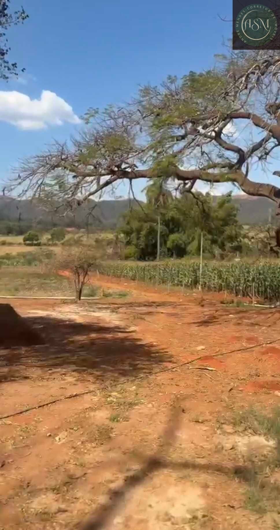 Chácara, 2 quartos, 900 m² - Foto 8