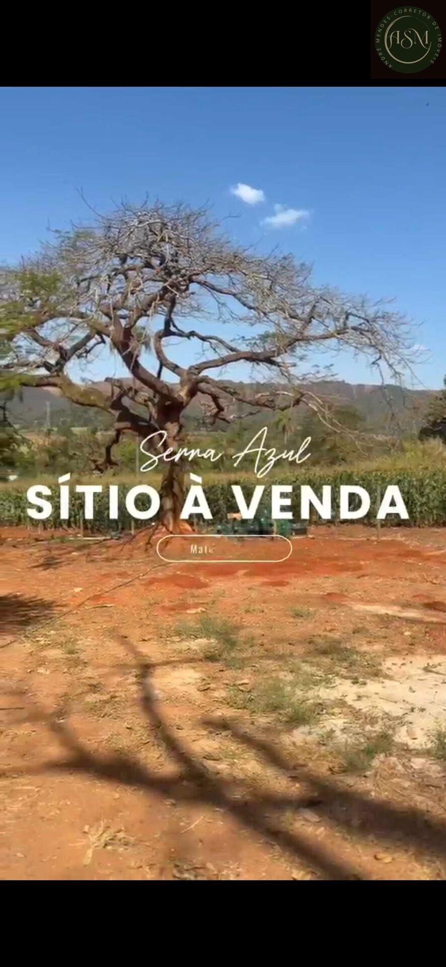 Chácara, 2 quartos, 900 m² - Foto 31