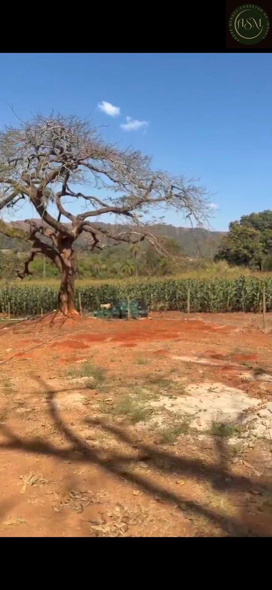 Chácara, 2 quartos, 900 m² - Foto 27