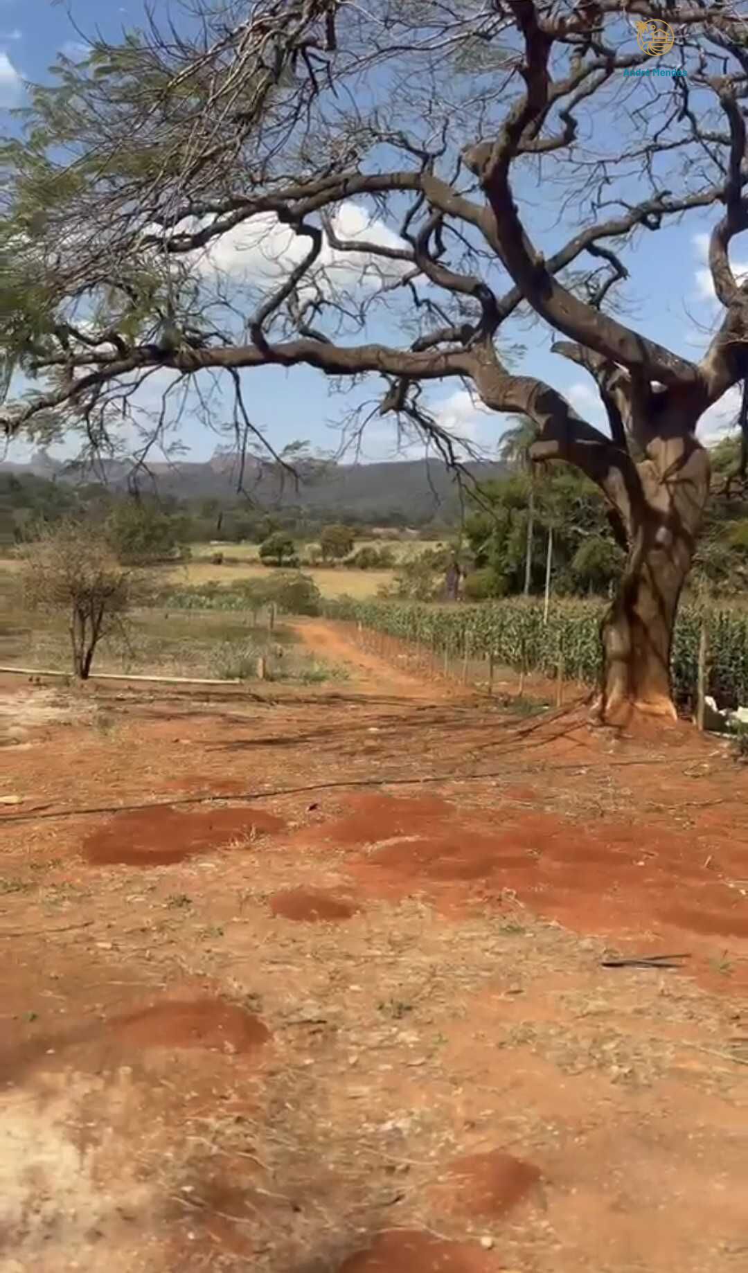 Chácara, 2 quartos, 900 m² - Foto 10