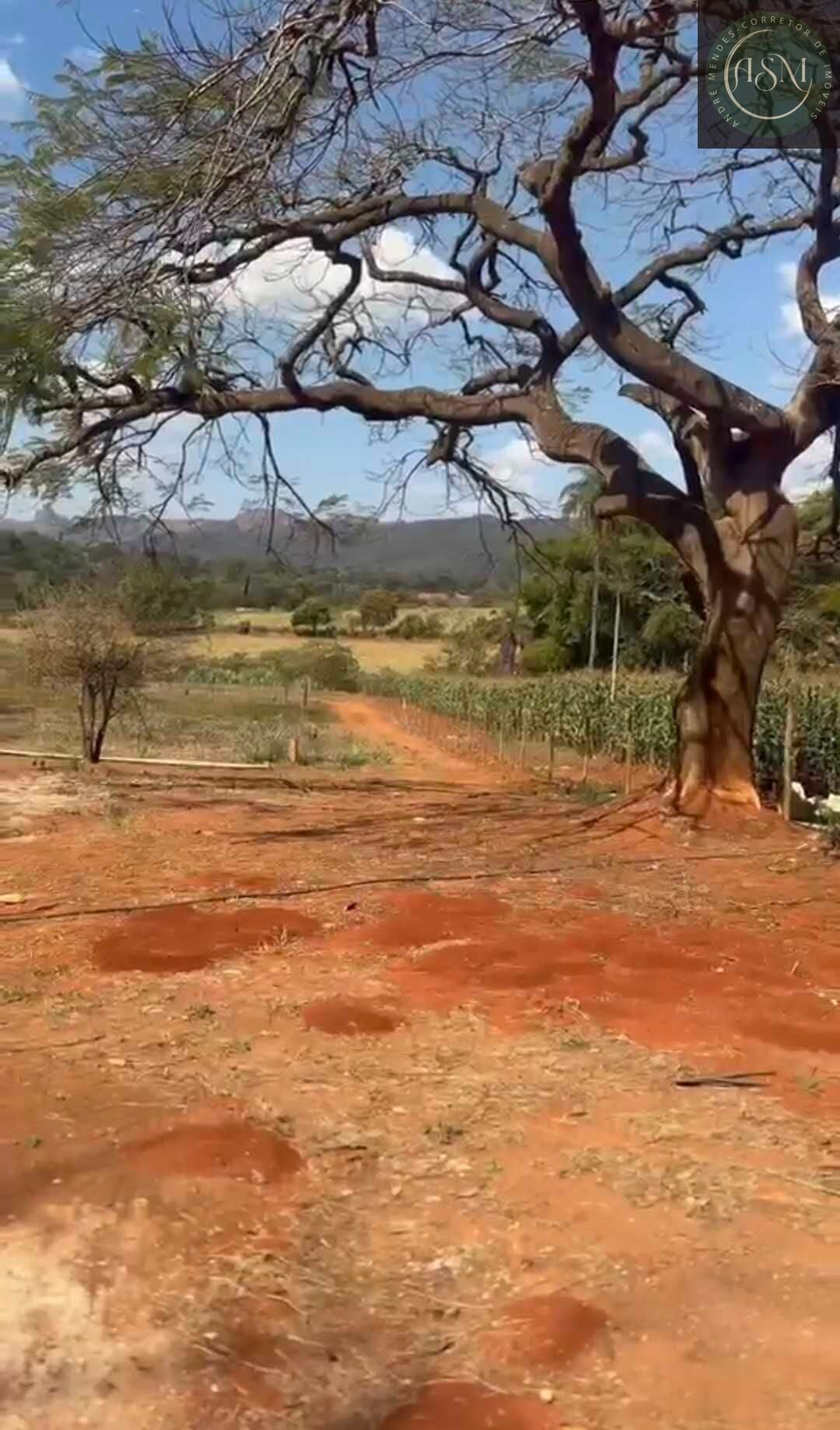 Chácara, 2 quartos, 900 m² - Foto 10