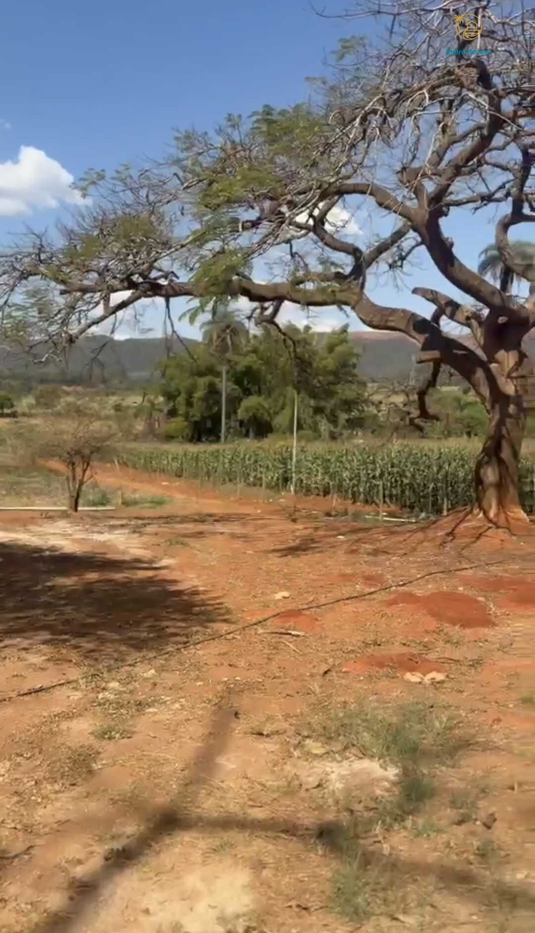 Chácara, 2 quartos, 900 m² - Foto 25