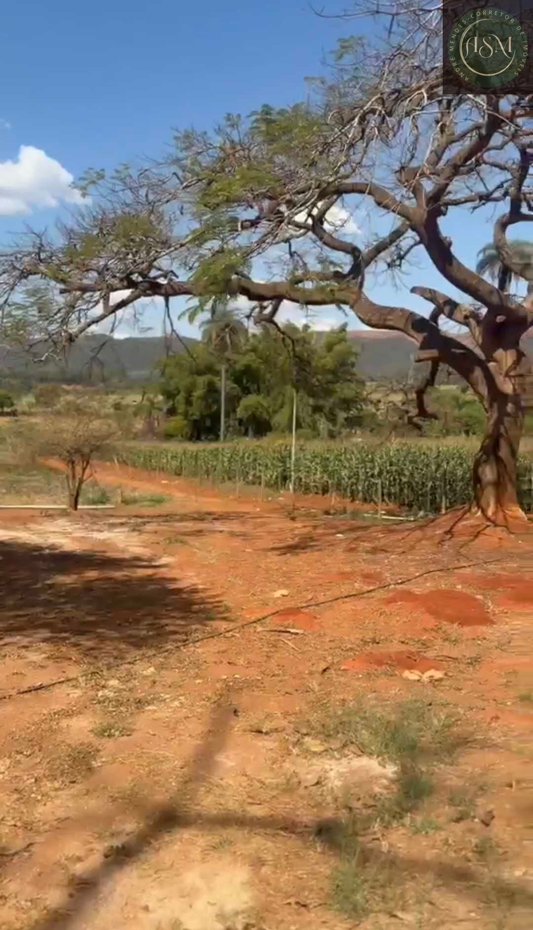 Chácara, 2 quartos, 900 m² - Foto 25