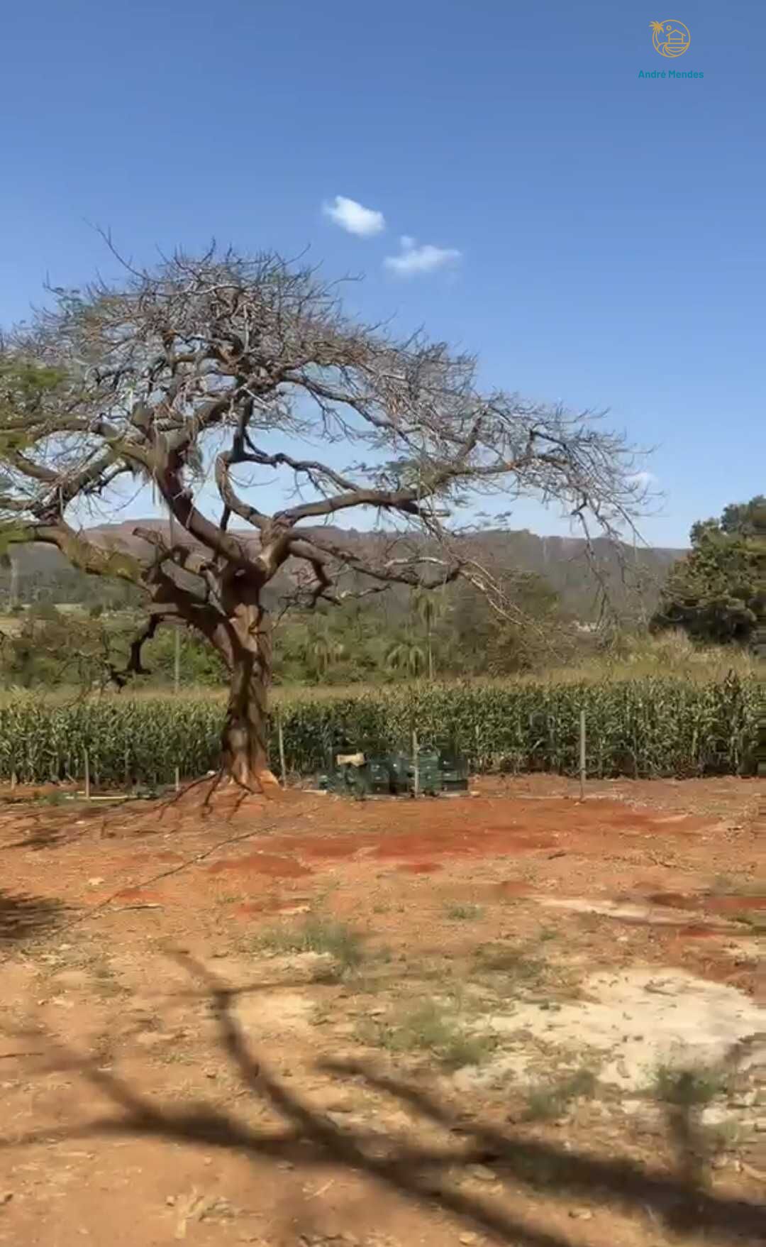 Chácara, 2 quartos, 900 m² - Foto 13