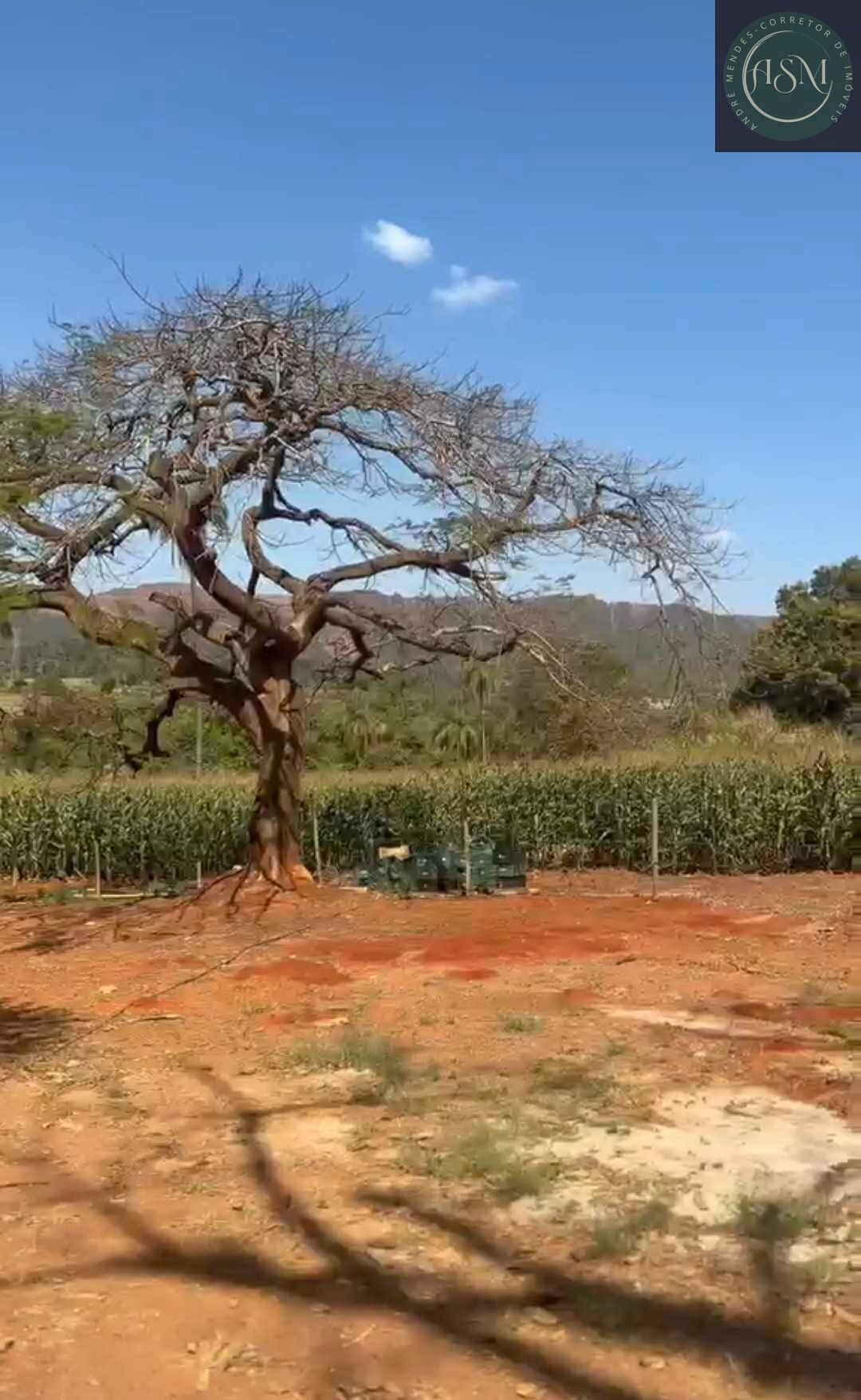 Chácara, 2 quartos, 900 m² - Foto 13