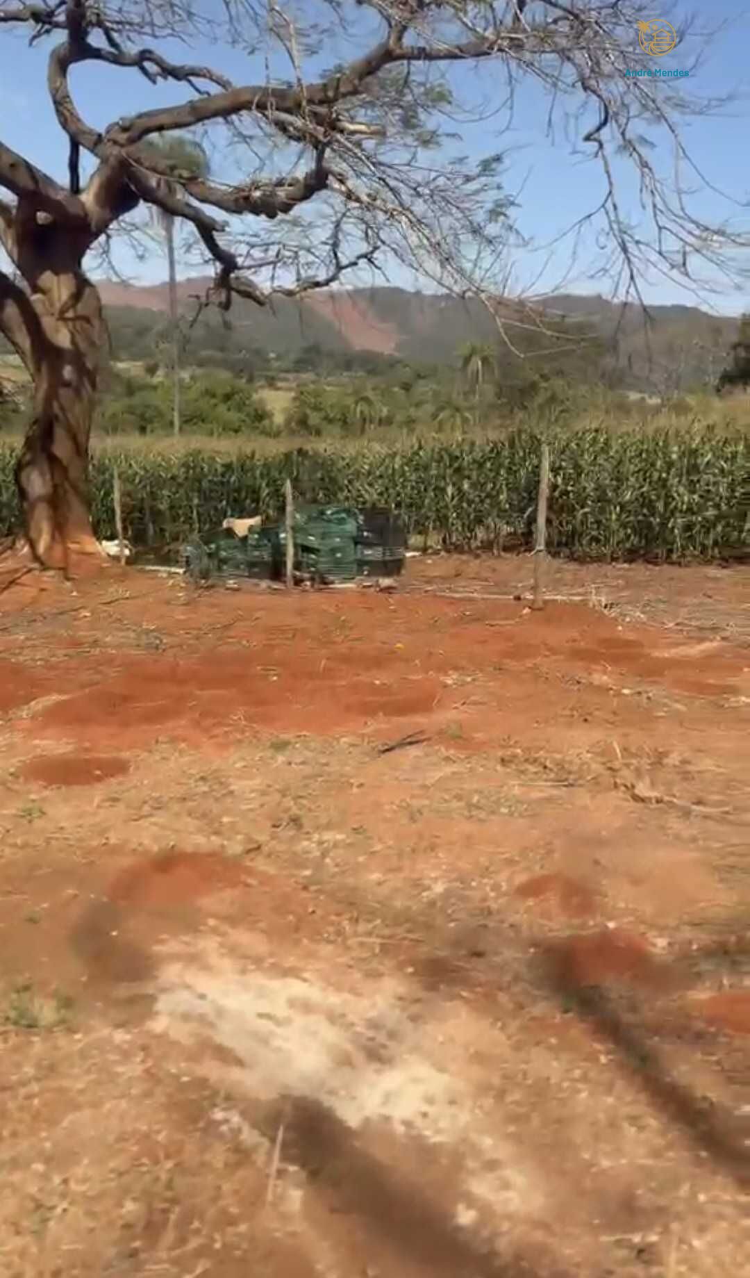 Chácara, 2 quartos, 900 m² - Foto 12