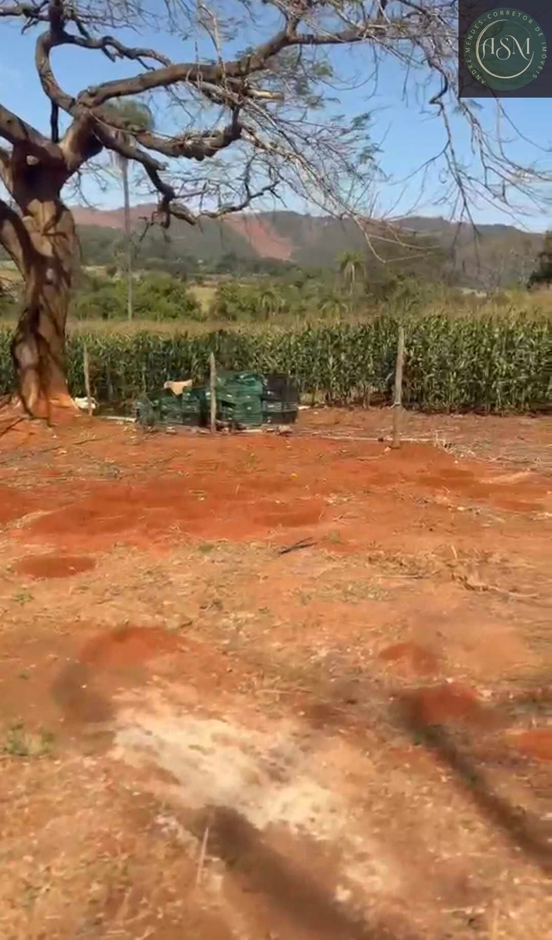 Chácara, 2 quartos, 900 m² - Foto 12