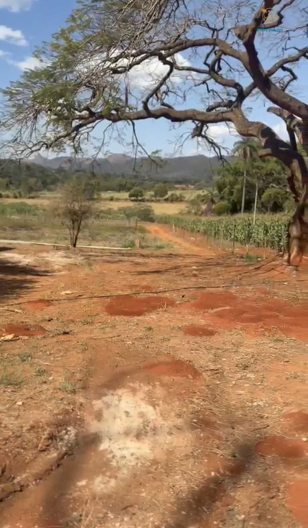 Chácara, 2 quartos, 900 m² - Foto 4
