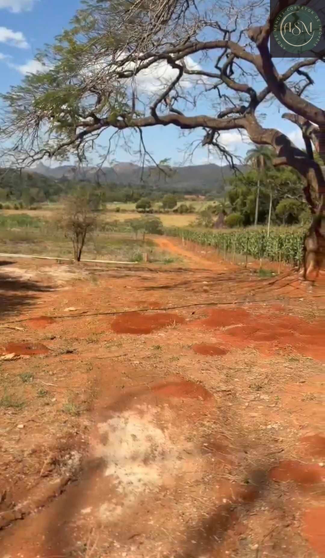 Chácara, 2 quartos, 900 m² - Foto 4