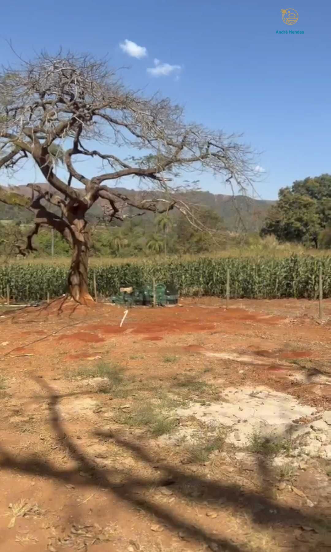 Chácara, 2 quartos, 900 m² - Foto 11