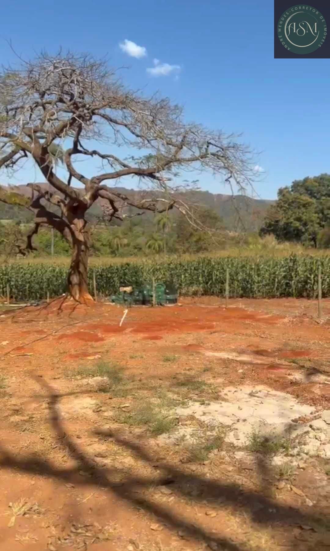 Chácara, 2 quartos, 900 m² - Foto 11