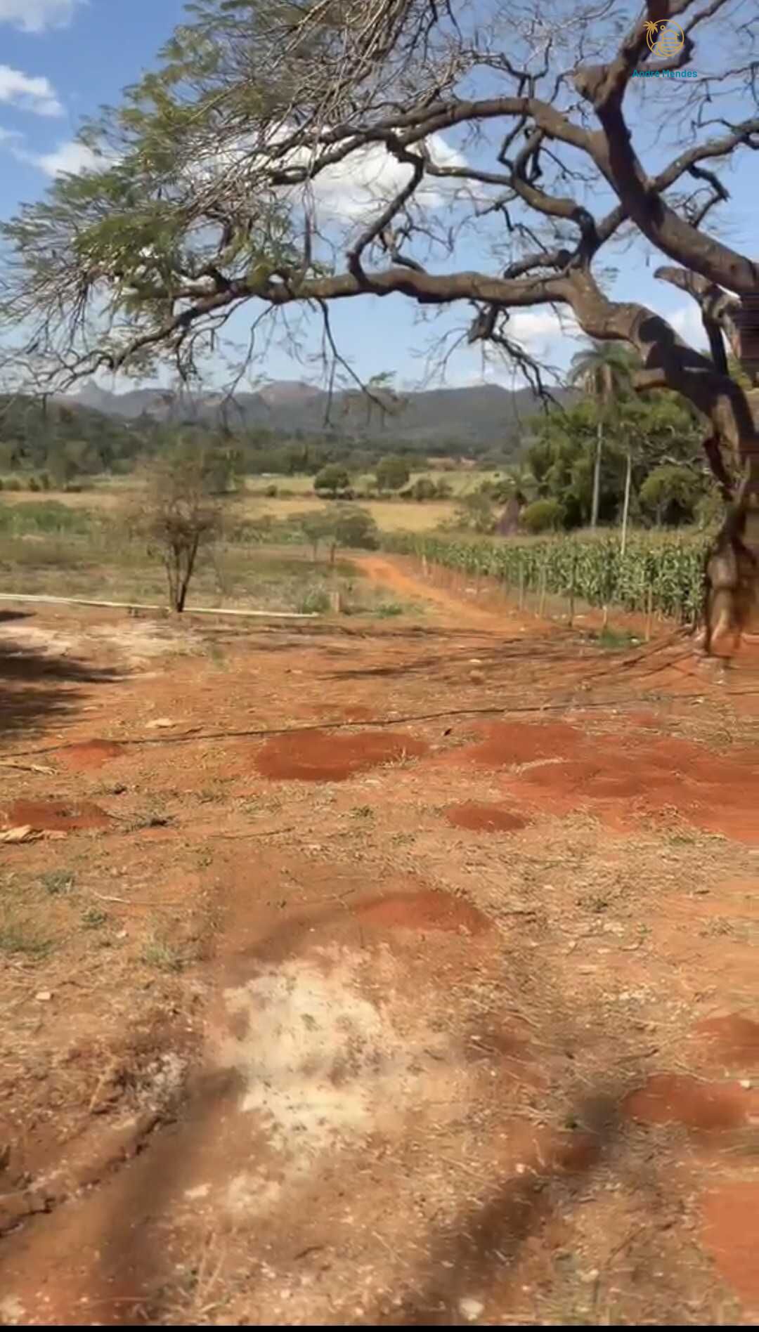 Chácara, 2 quartos, 900 m² - Foto 22