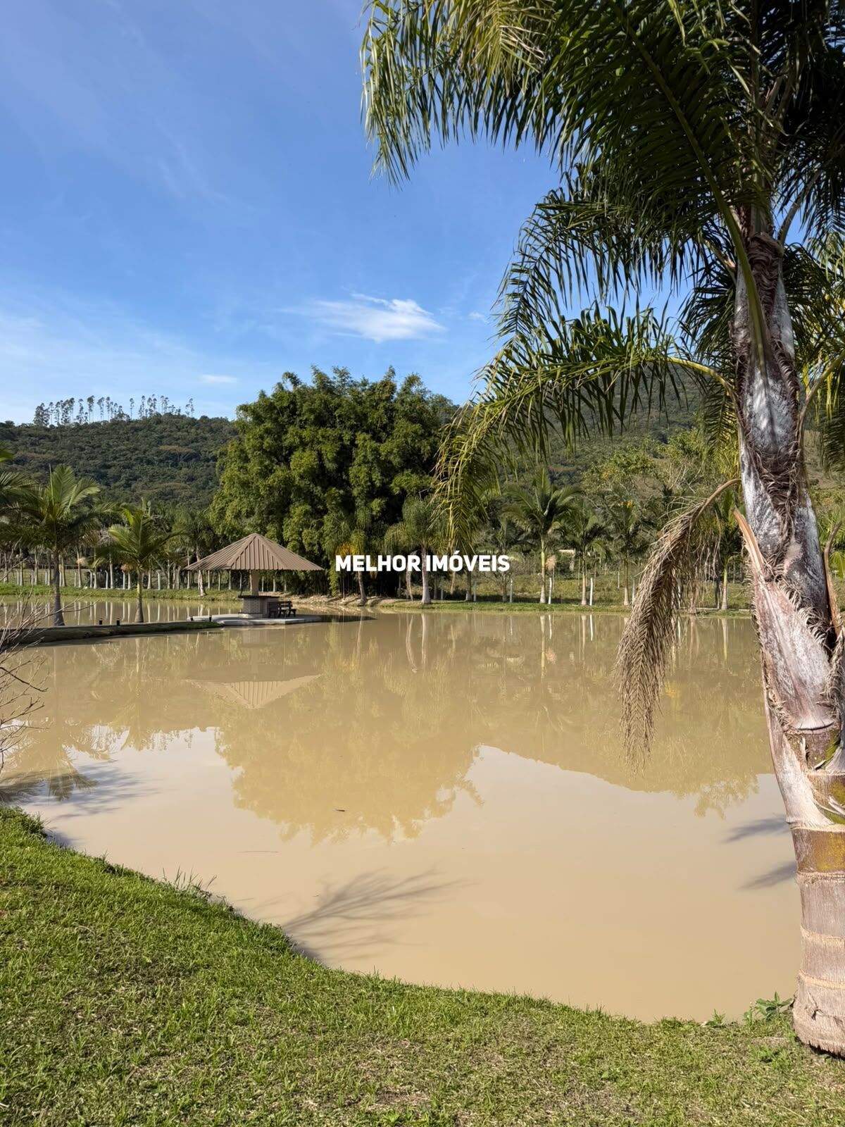 Chácara, 3 quartos, 2 hectares - Foto 39