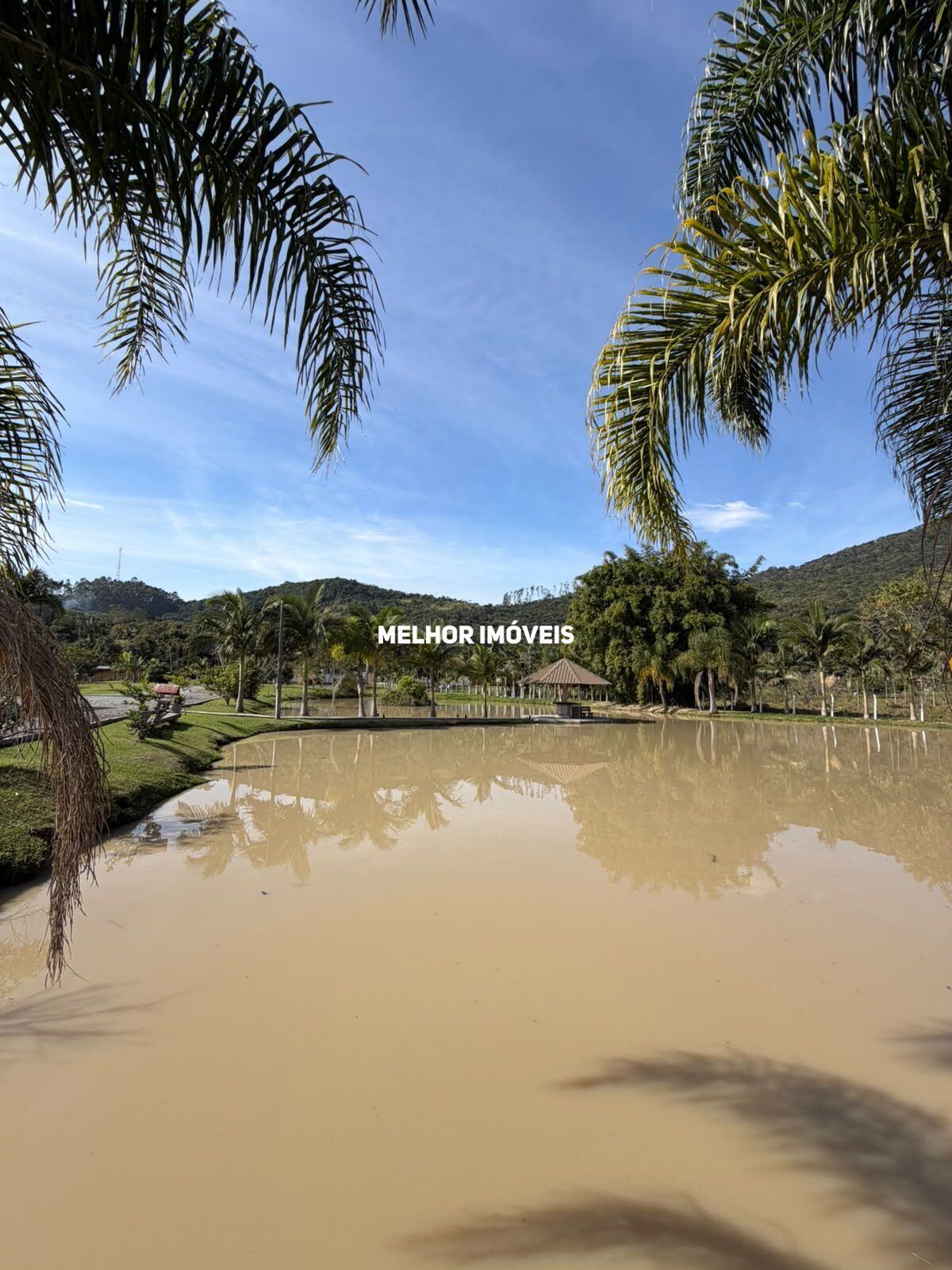 Chácara, 3 quartos, 2 hectares - Foto 26