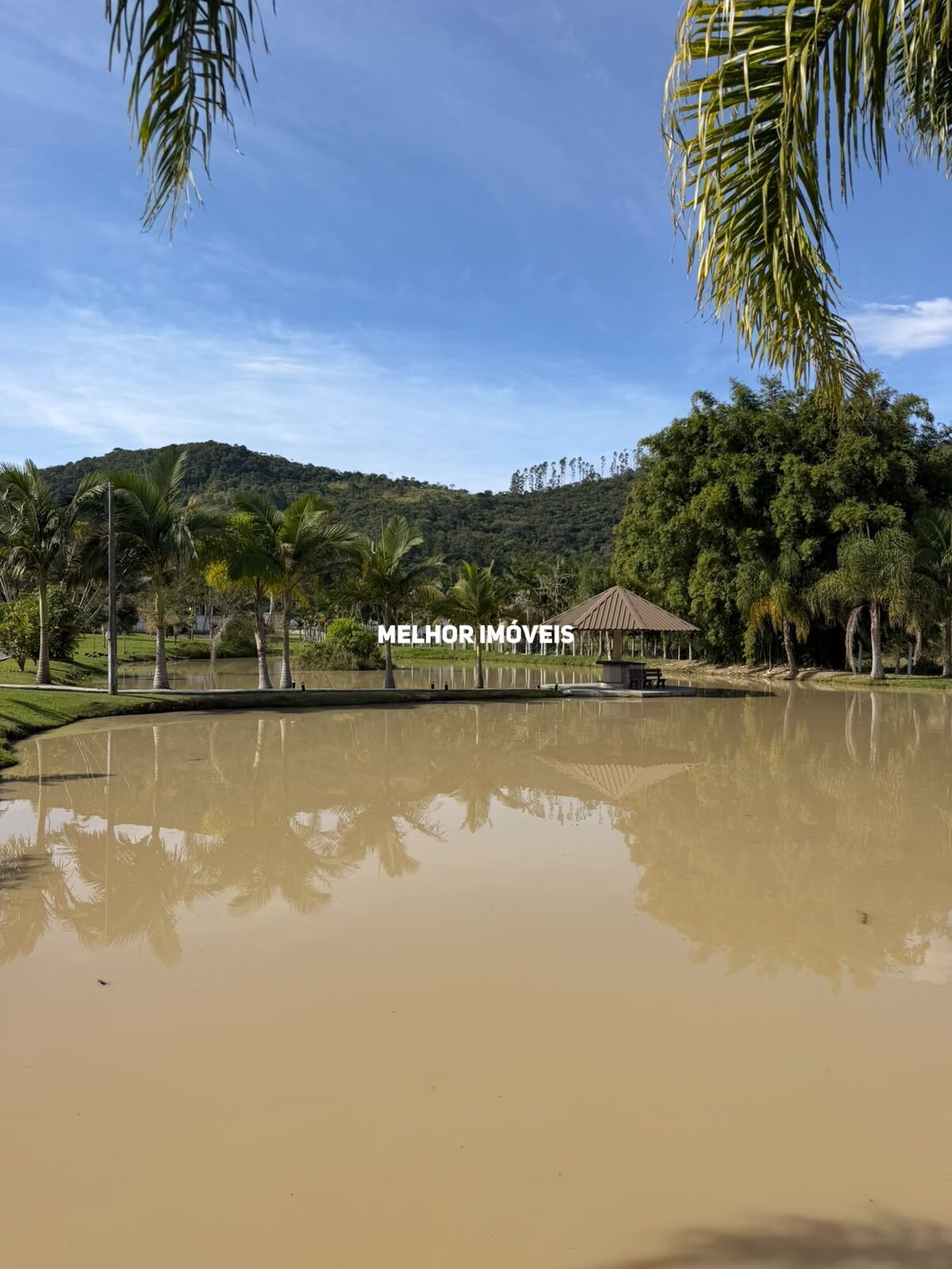 Chácara, 3 quartos, 2 hectares - Foto 43