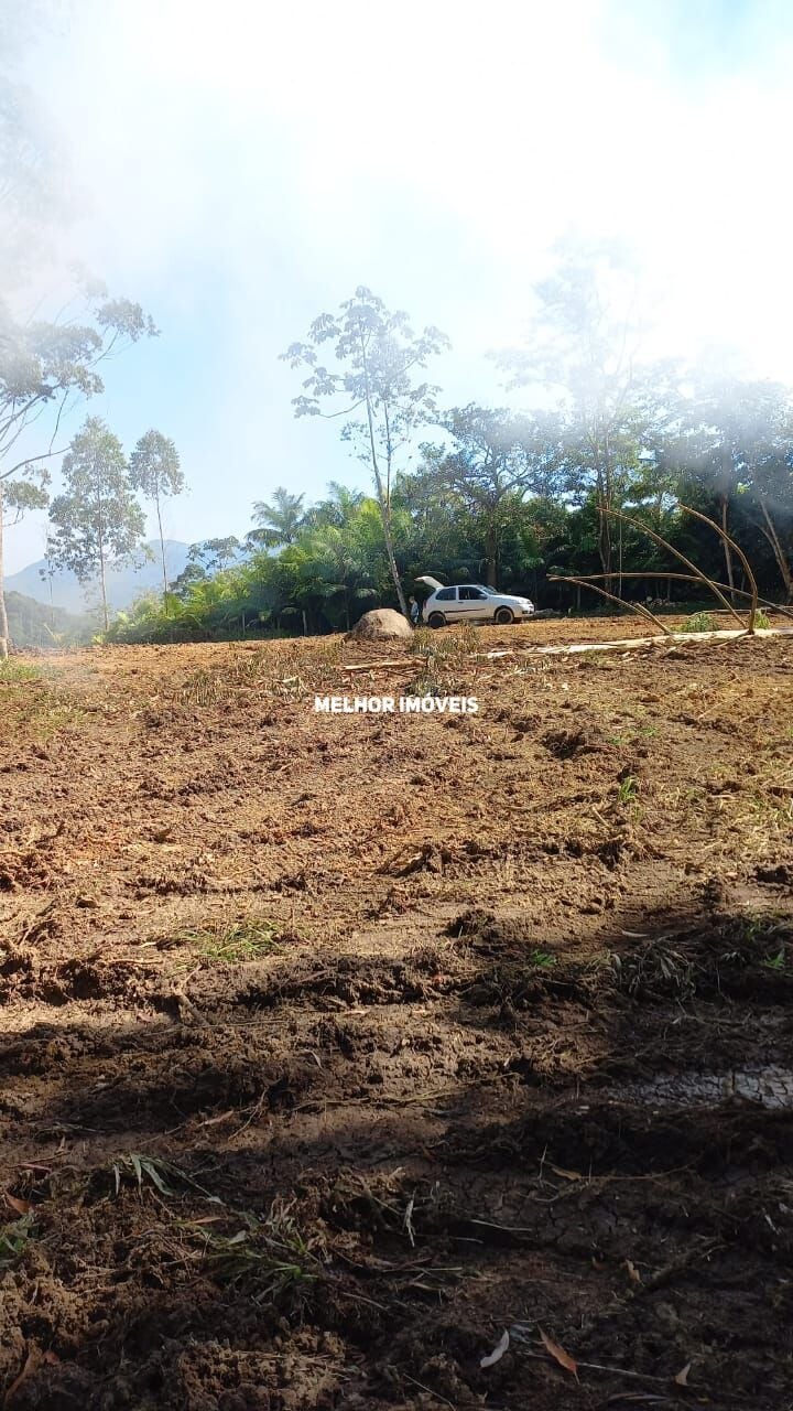 Chácara, 5 hectares - Foto 4
