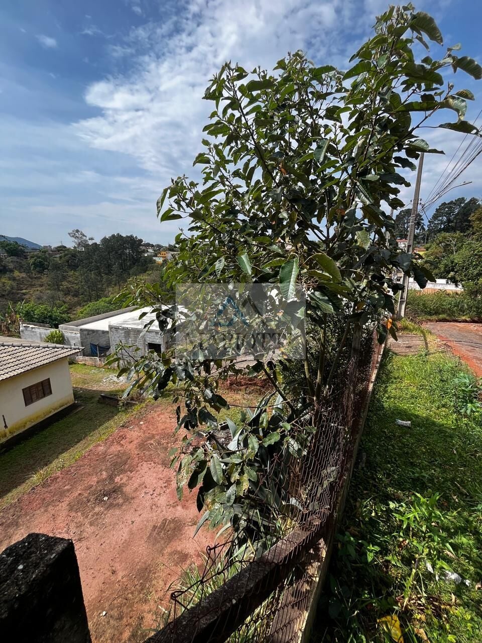 Sítio, 3 quartos, 900 m² - Foto 16