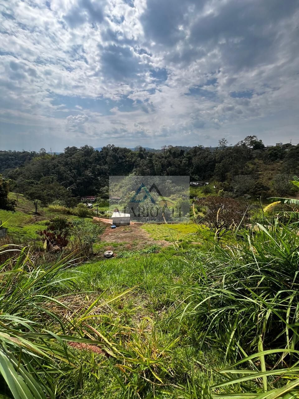 Sítio, 3 quartos, 900 m² - Foto 18