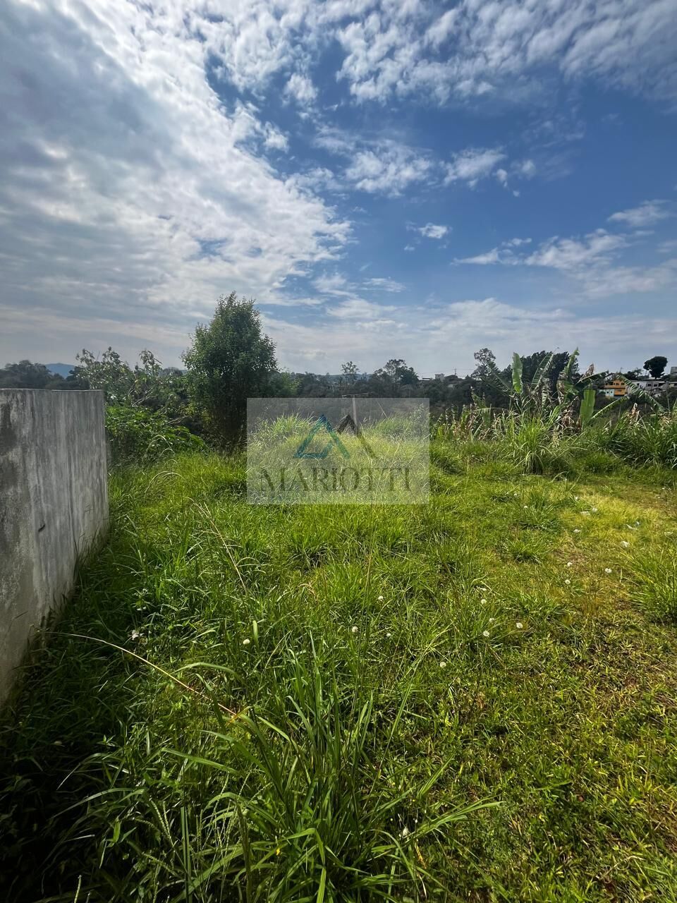 Sítio, 3 quartos, 900 m² - Foto 4