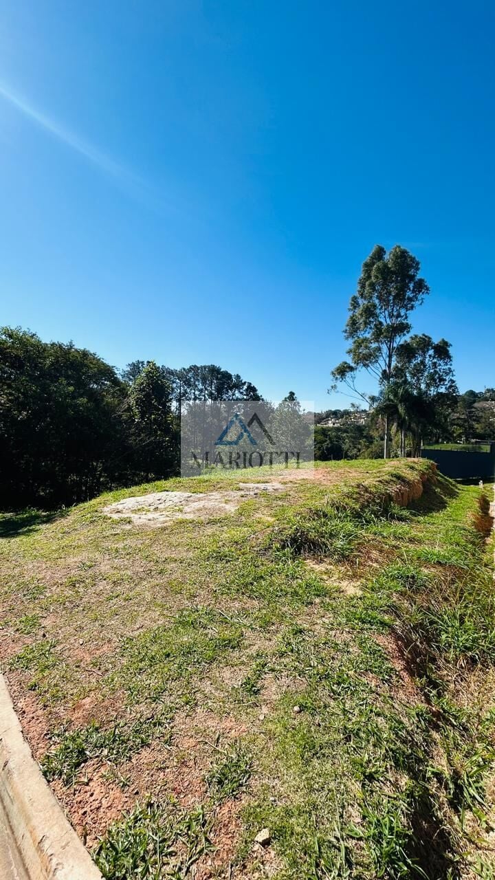 Terreno, 502 m² - Foto 3