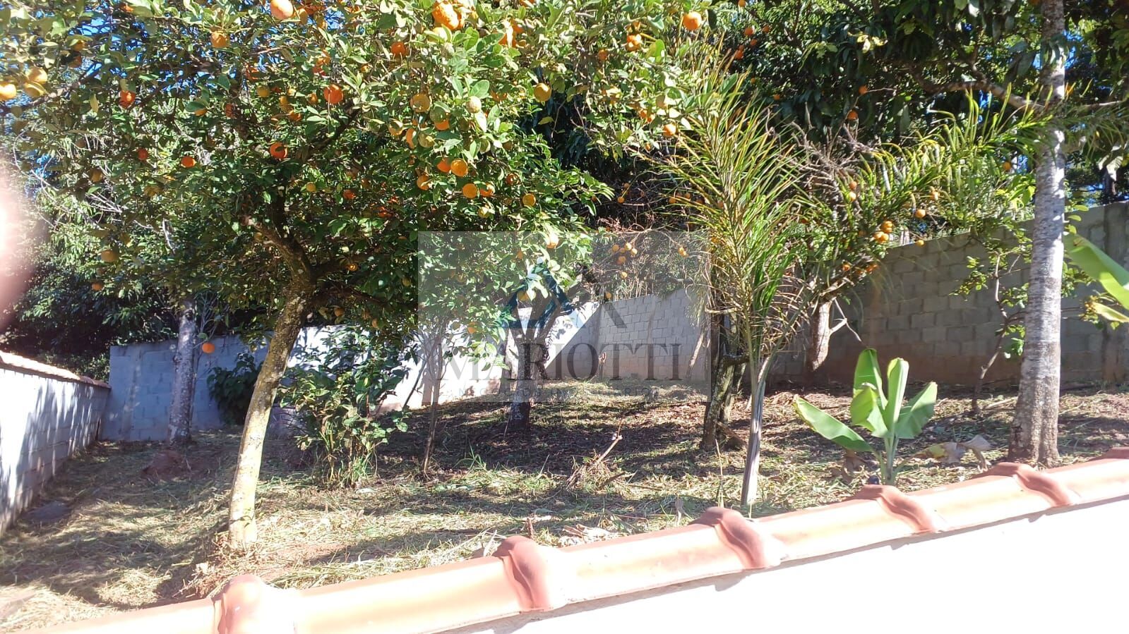 Sítio, 3 quartos, 527 m² - Foto 40