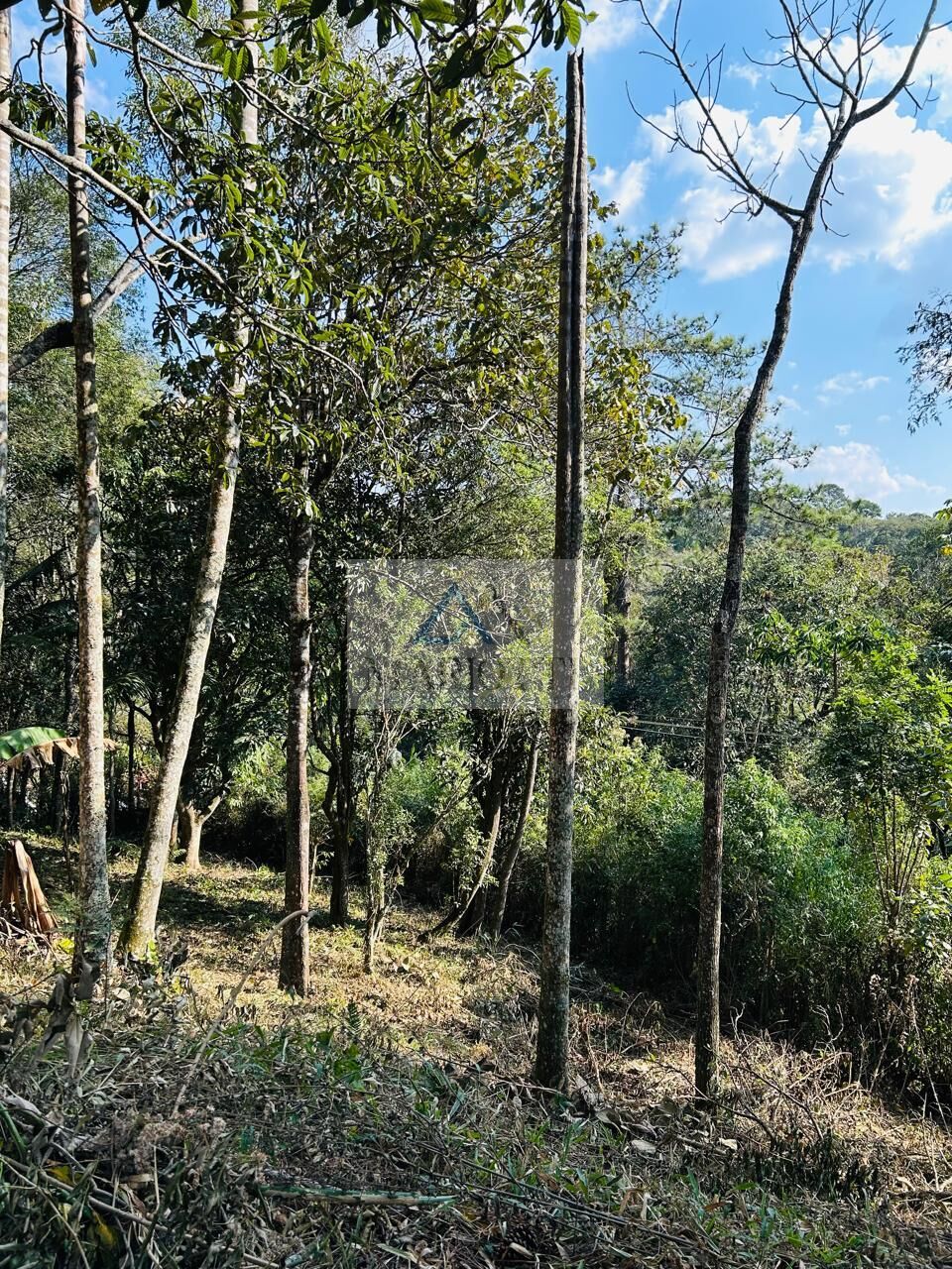 Terreno, 1600 m² - Foto 2