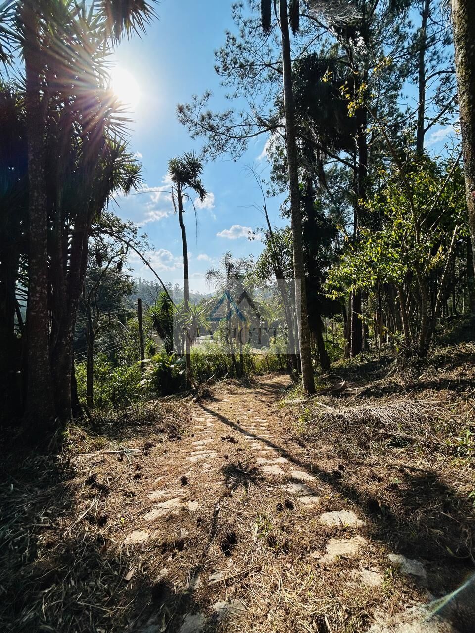 Terreno, 1600 m² - Foto 5
