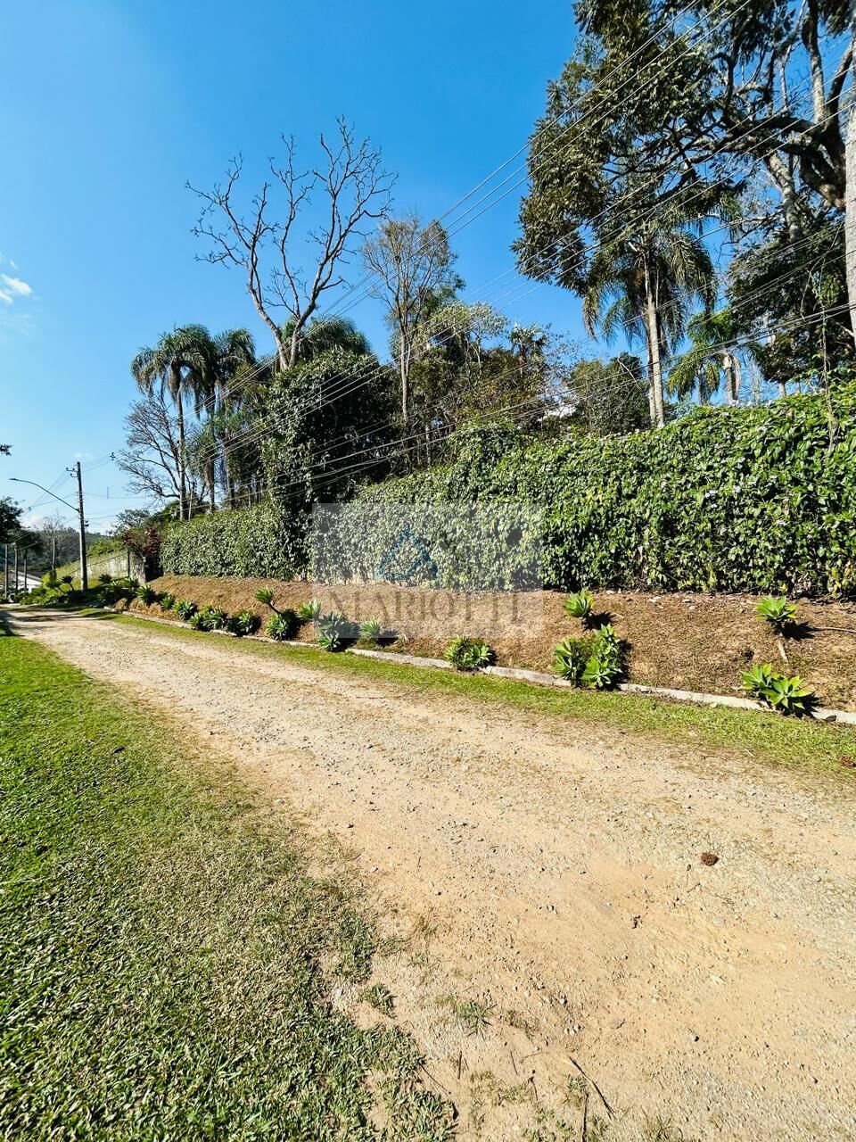Terreno, 1600 m² - Foto 13