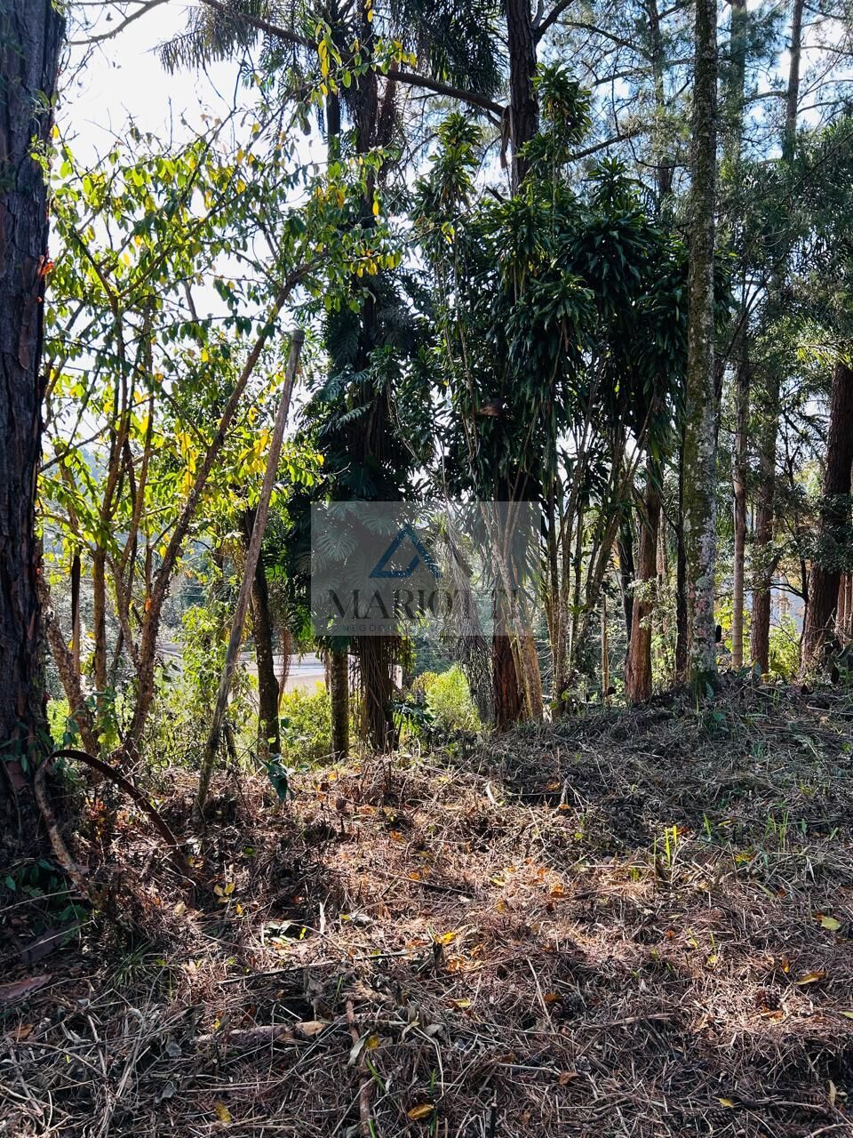 Terreno, 1600 m² - Foto 6