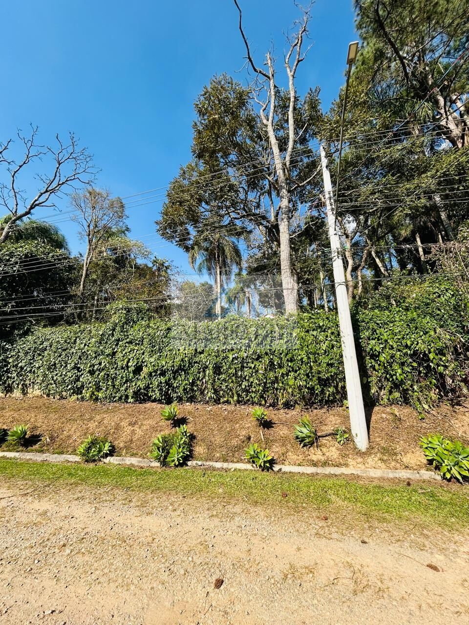 Terreno, 1600 m² - Foto 14