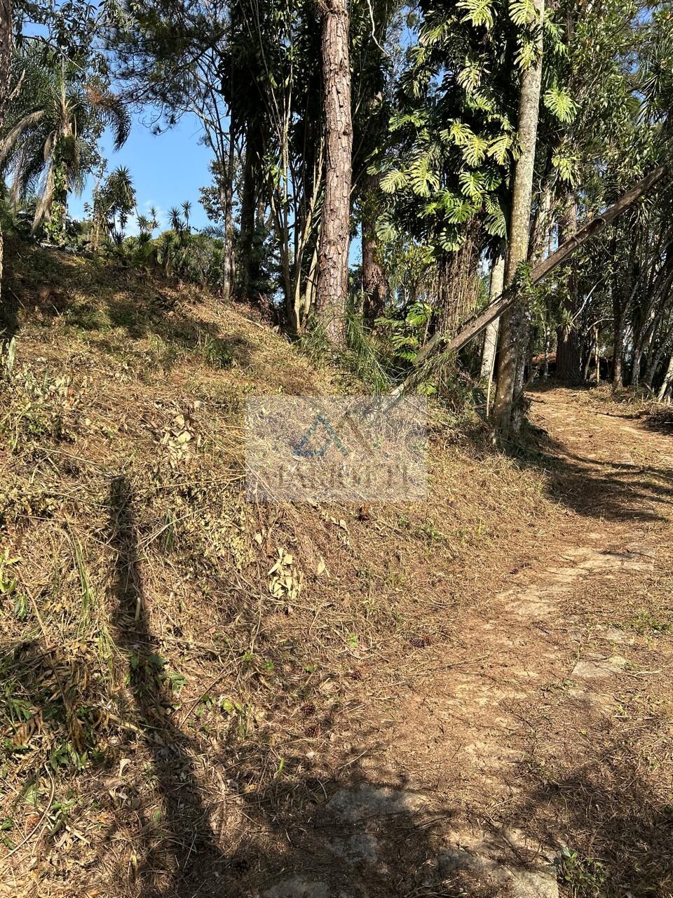 Terreno, 1600 m² - Foto 4